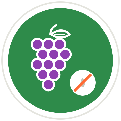 Uva nera senza semi